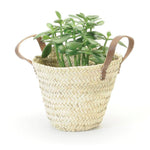 STRAW PLANTER LEATHER HANDLES