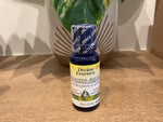 Divine Essence Eucalyptus-Blue Gum Diffusing Oil