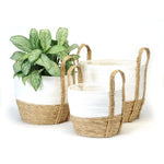 Bacon Basketware White/Natural Lined Straw Baskets