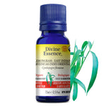 Divine Essence Organic Lemongrass Essential Oil