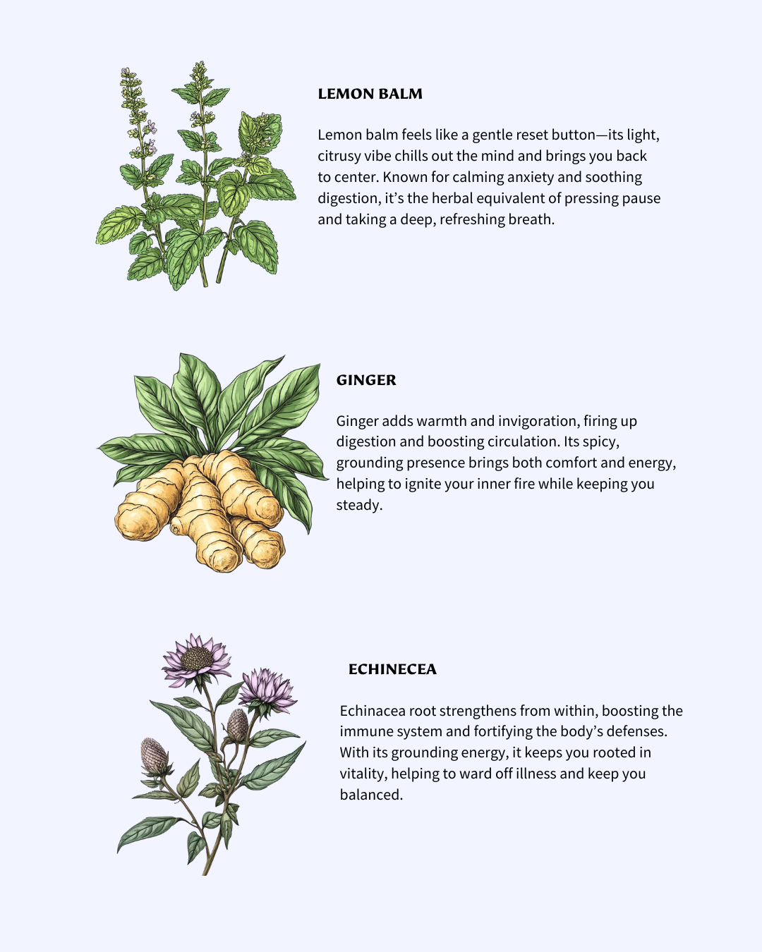 FLEURS HEAL - IMMUNE SUPPORT ADAPTOGENIC TEA BAGS
