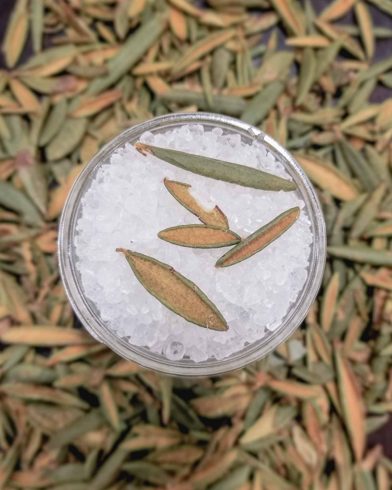 Wildwood Creek Woodland Grounding Mini Natural Spa Bath Soak | Vegan