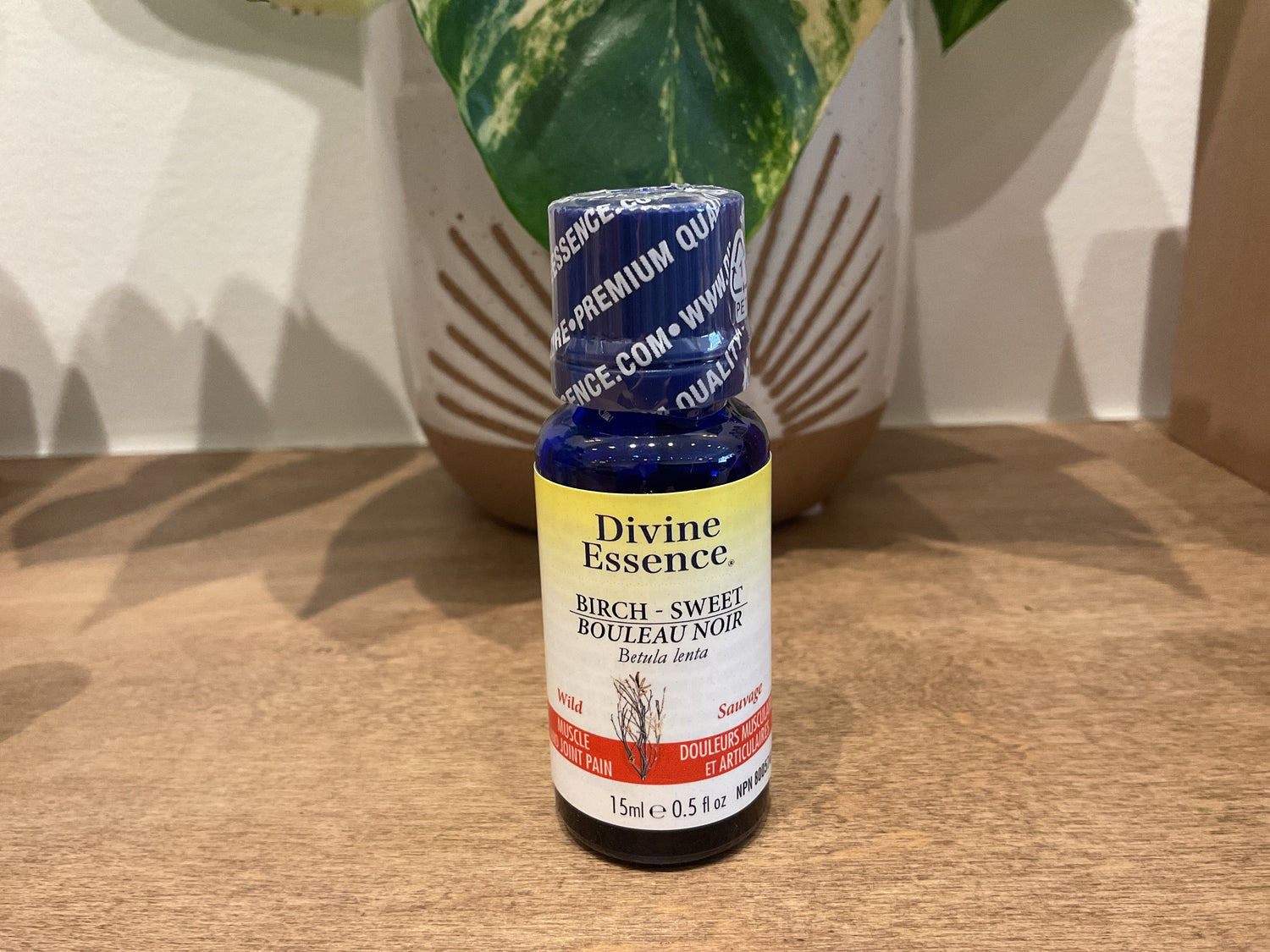 Divine Essence Sweet Birch Diffusing Oil