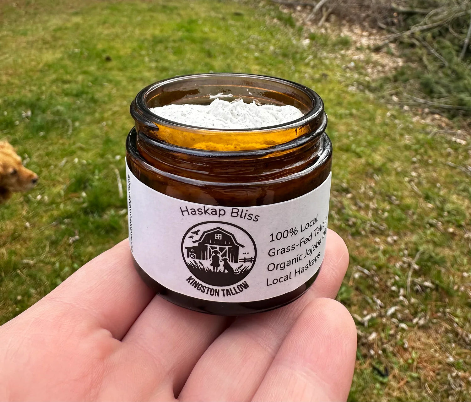 Kingston Tallow