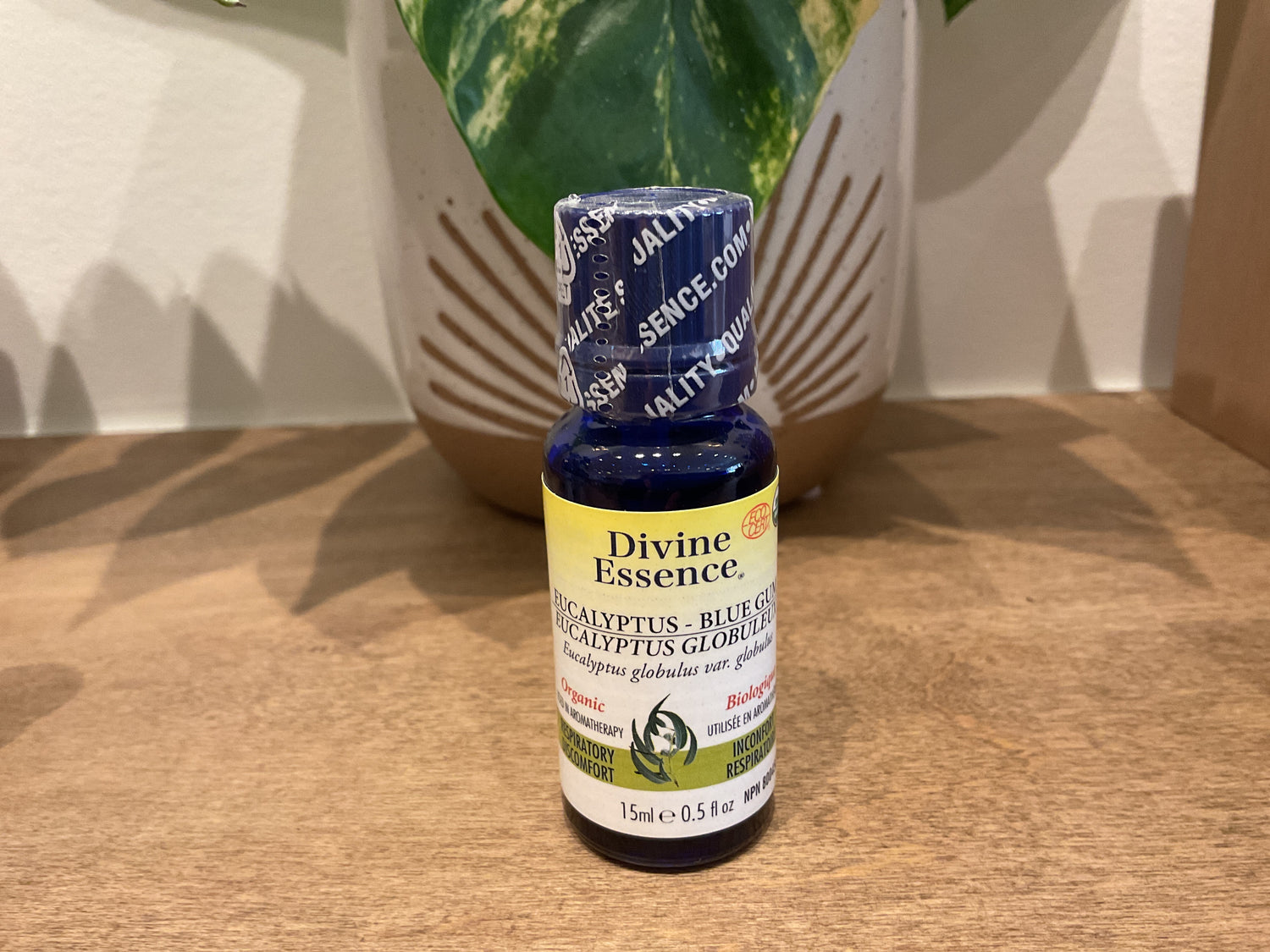 Divine Essence Eucalyptus-Blue Gum Diffusing Oil