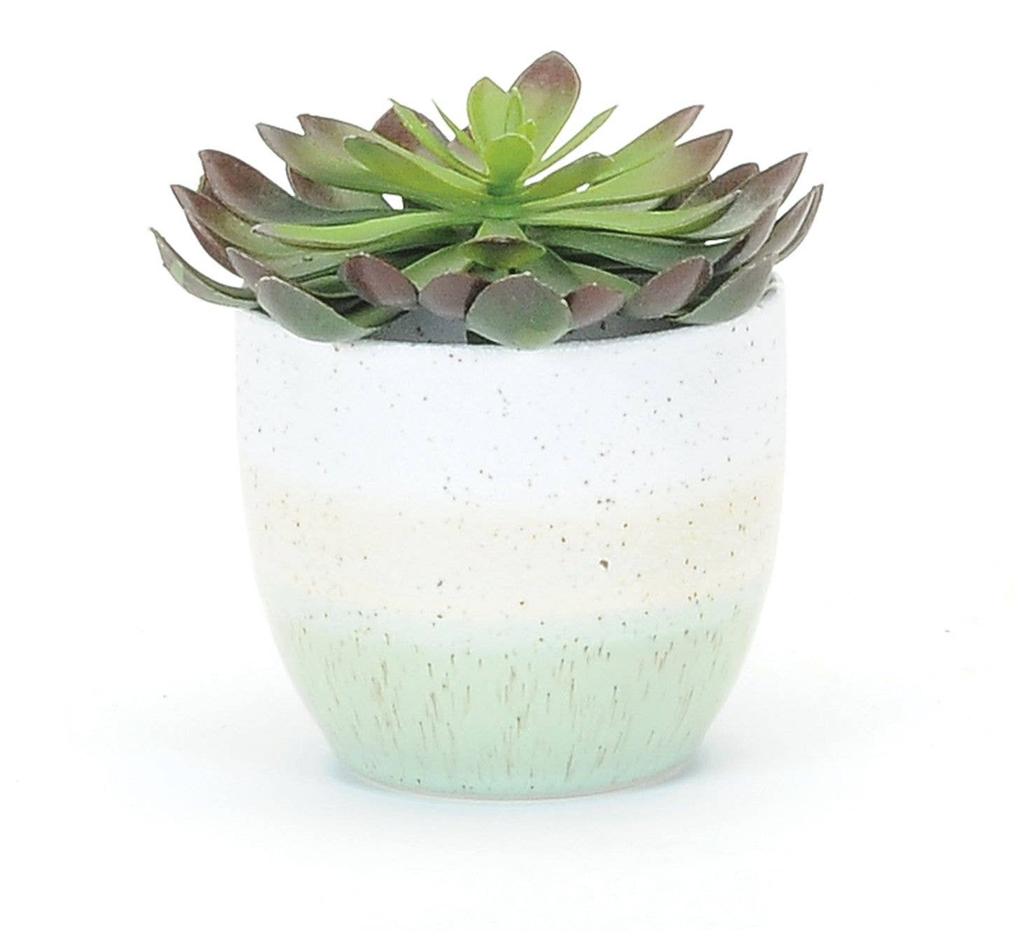 Bacon Basketware Small Ceramic Pot Pastel Color