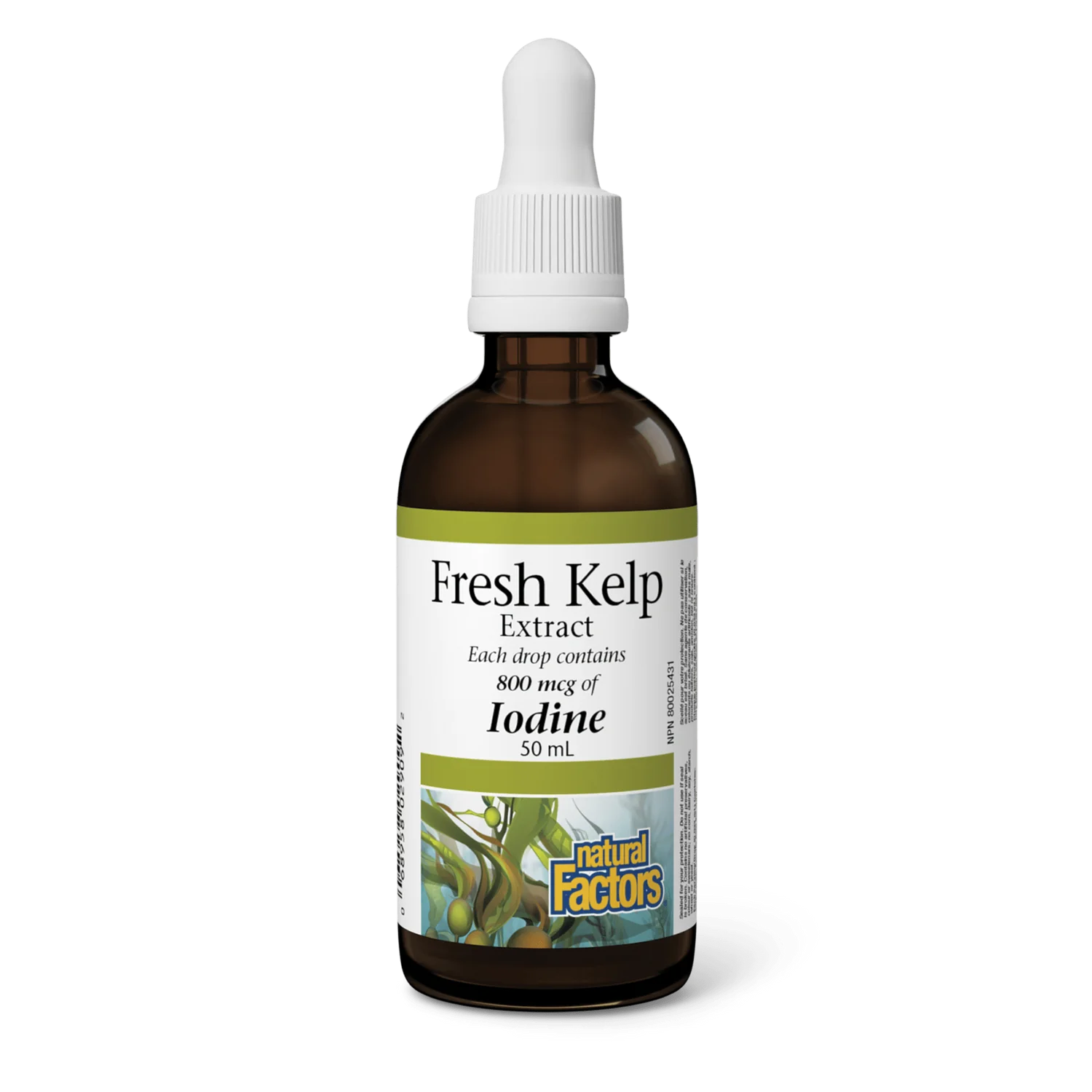 Natural Factors Fresh Kelp Extract 800mcg
