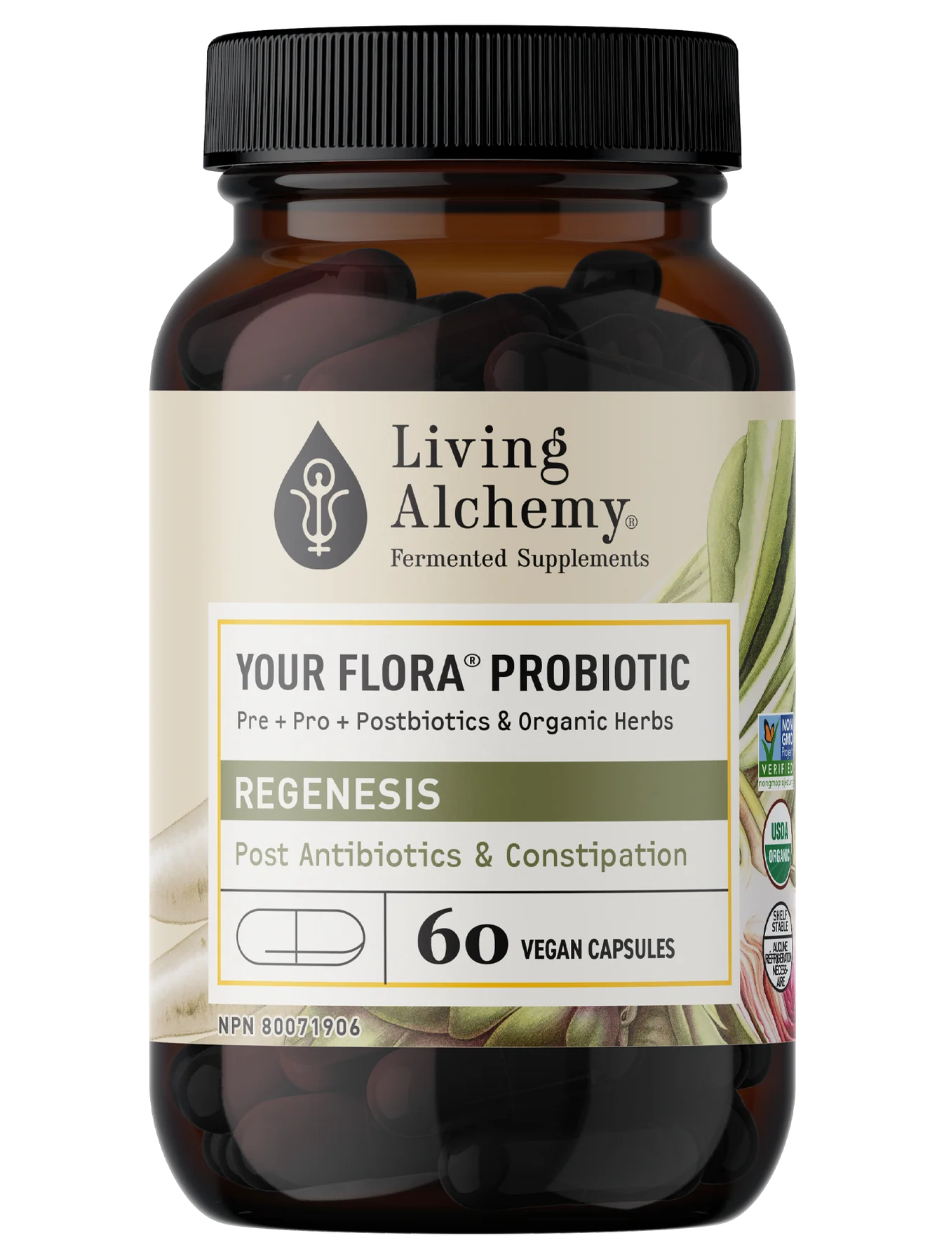 Living Alchemy Probiotic REGENESIS